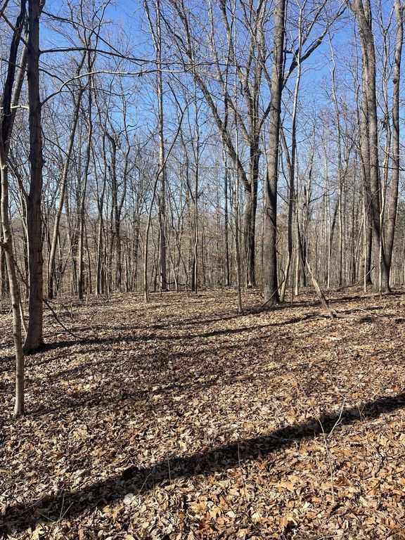 165 Pleasant hill road, Lafayette, TN 37083