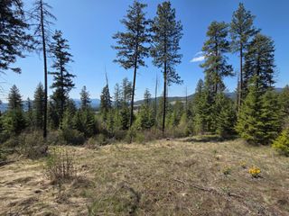 XXX Burnt Valley Rd, Chewelah, WA 99109