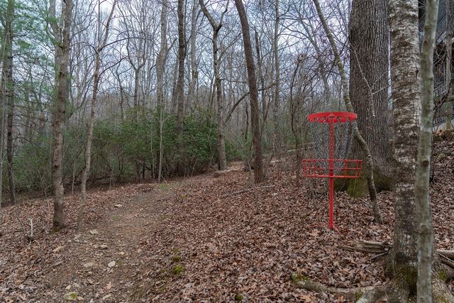 561 Cartecay Trace, Ellijay, GA 30536