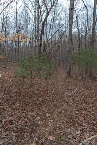 561 Cartecay Trace, Ellijay, GA 30536