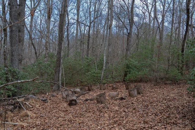 561 Cartecay Trace, Ellijay, GA 30536