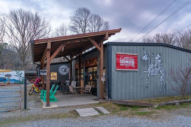 561 Cartecay Trace, Ellijay, GA 30536