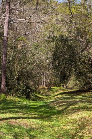 2 Thundercreek Place, Spring, TX 77381