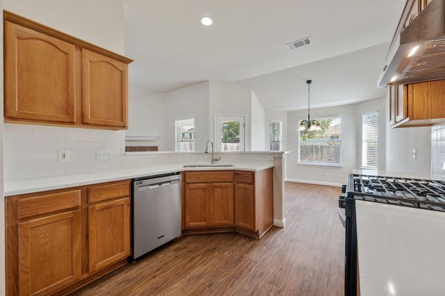 15210 Mimebark WAY, Austin, TX 78724
