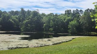 Lot23 Pine Lake Est /Waller Road, Pikeville, TN 37367