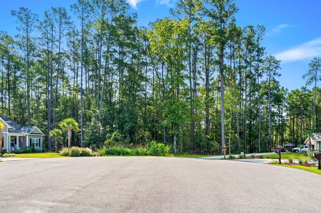 200 Joanna Gillard Ln., Georgetown, SC 29440