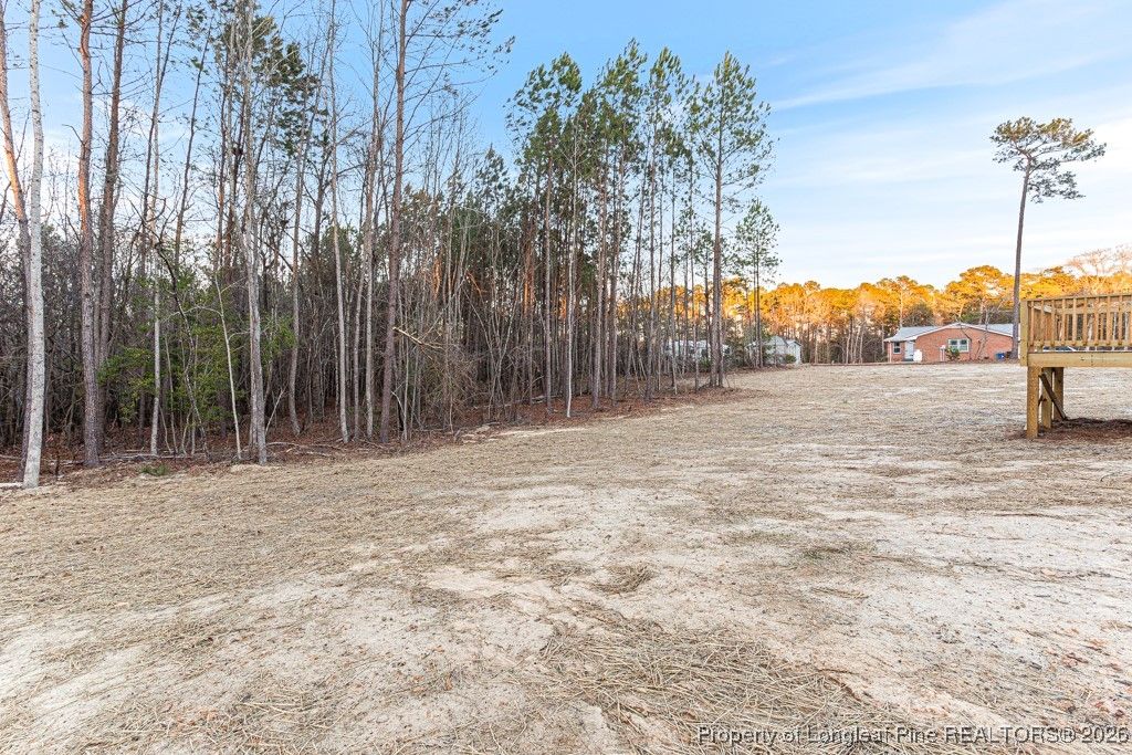 9398 Nc 27 W, Lillington, NC 27546 — photo 30
