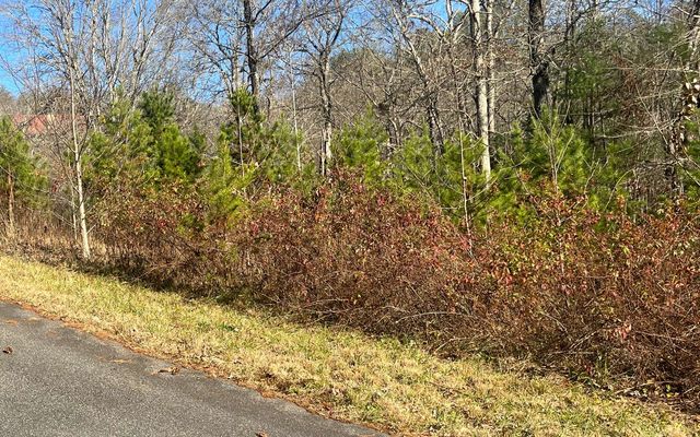 Lot 8 Moore Acres, Hayesville, NC 28904