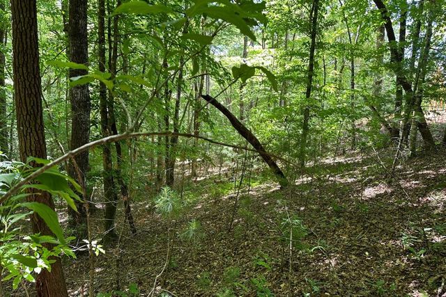 Lot 8 Moore Acres, Hayesville, NC 28904