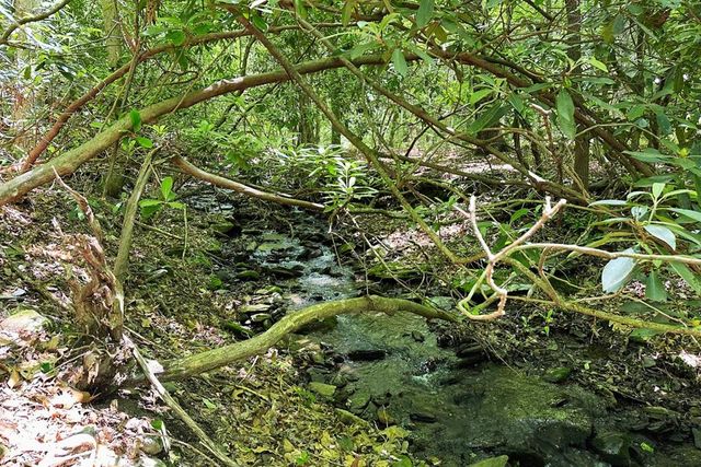 Lot 8 Moore Acres, Hayesville, NC 28904