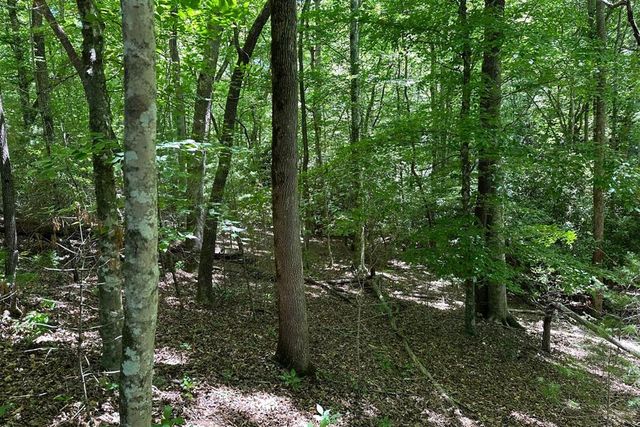 Lot 8 Moore Acres, Hayesville, NC 28904