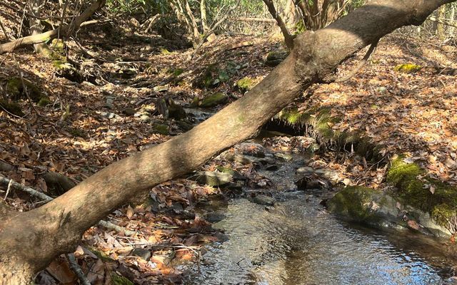 Lot 8 Moore Acres, Hayesville, NC 28904