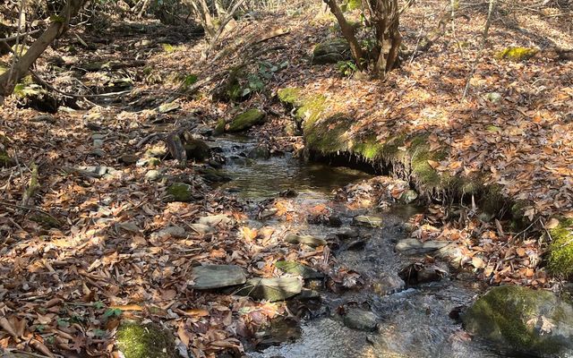 Lot 8 Moore Acres, Hayesville, NC 28904