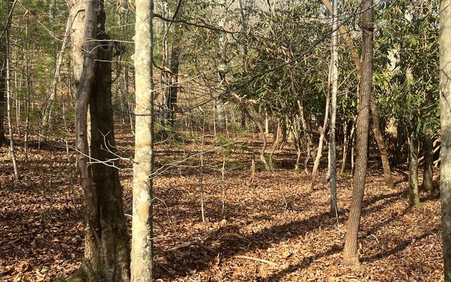 Lot 8 Moore Acres, Hayesville, NC 28904
