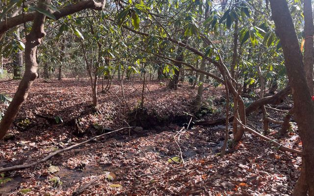 Lot 8 Moore Acres, Hayesville, NC 28904