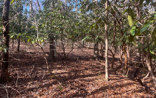 Lot 8 Moore Acres, Hayesville, NC 28904
