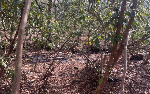 Lot 8 Moore Acres, Hayesville, NC 28904