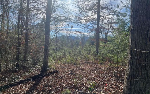Lot 8 Moore Acres, Hayesville, NC 28904