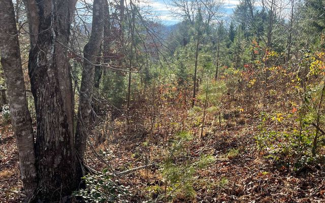 Lot 8 Moore Acres, Hayesville, NC 28904