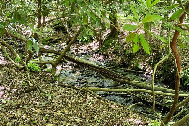 Lot 8 Moore Acres, Hayesville, NC 28904