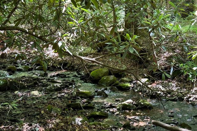 Lot 8 Moore Acres, Hayesville, NC 28904