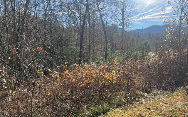 Lot 8 Moore Acres, Hayesville, NC 28904