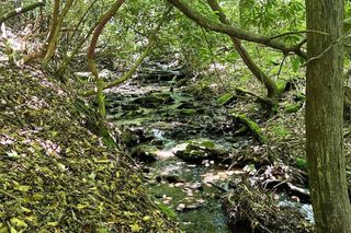 Lot 8 Moore Acres, Hayesville, NC 28904