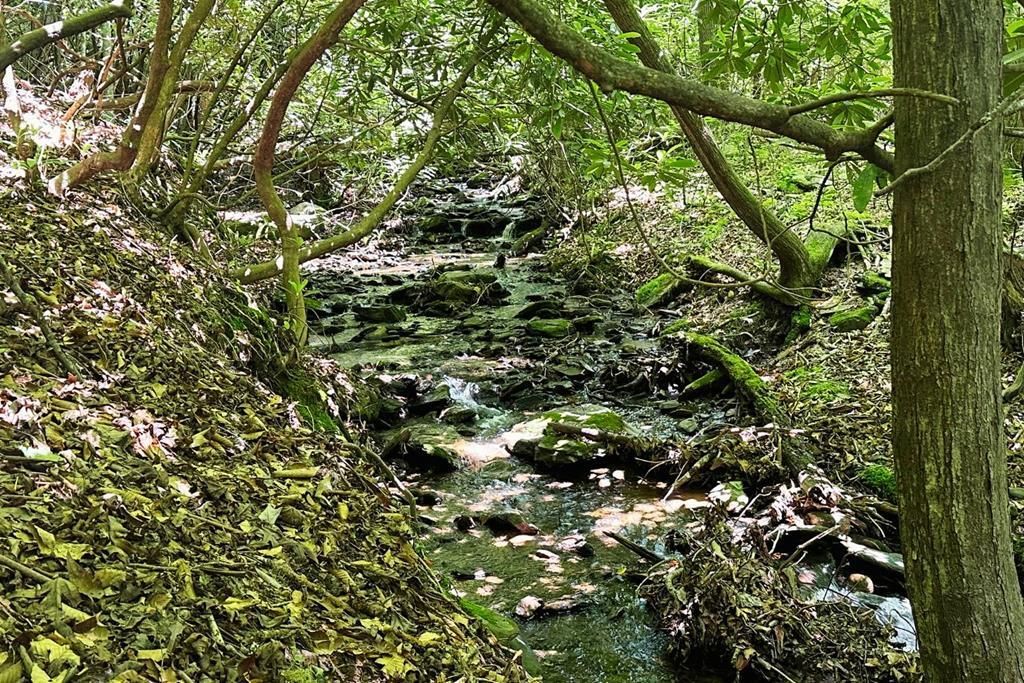 Lot 8 Moore Acres, Hayesville, NC 28904