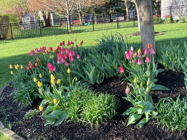 425 Savannah Lane, Westfield, IN 46074