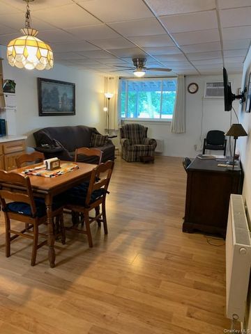 6696 Rt-52, Cochecton, NY 12726