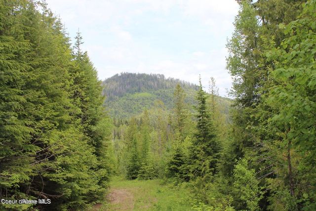 NKA Ropp Rd., Priest River, ID 83856