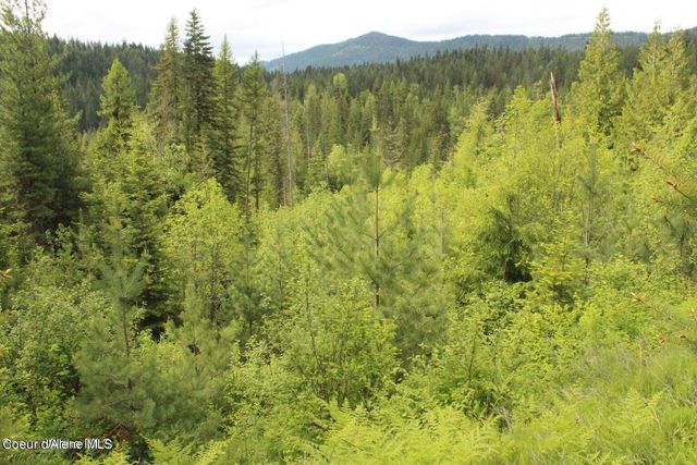 NKA Ropp Rd., Priest River, ID 83856