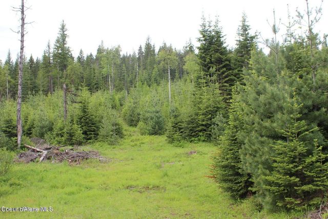 NKA Ropp Rd., Priest River, ID 83856