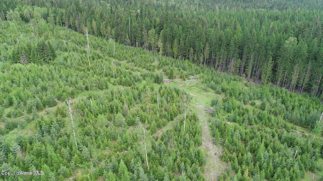 NKA Ropp Rd., Priest River, ID 83856