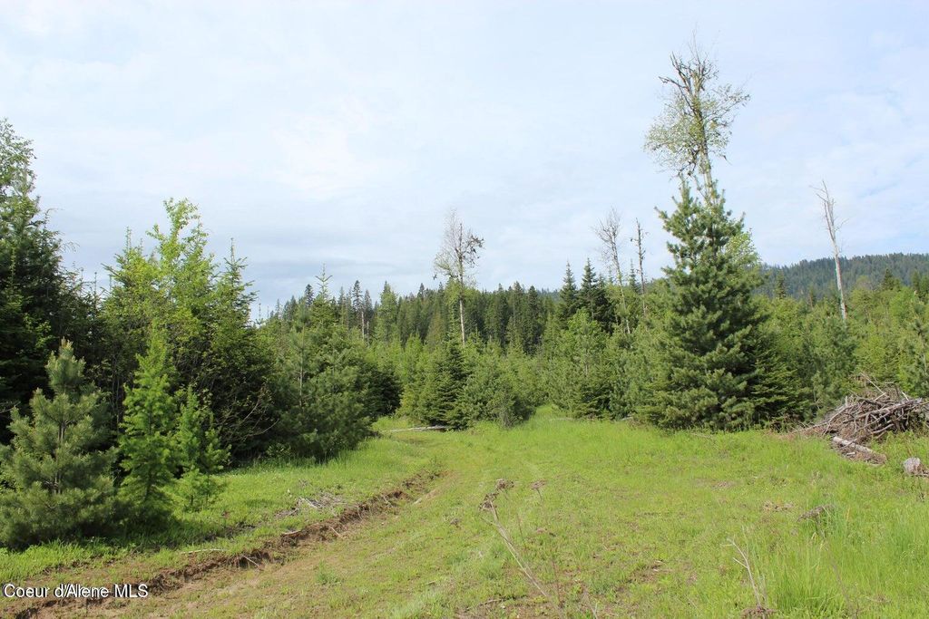 NKA Ropp Rd., Priest River, ID 83856