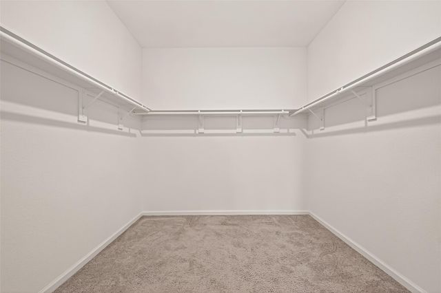 1077 Lacebark Pine Ln, Brookshire, TX 77423