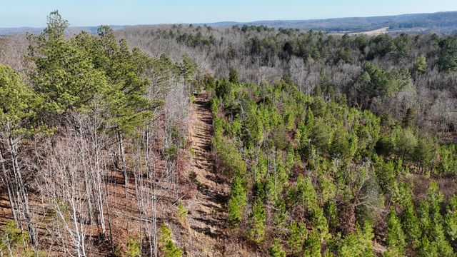 00 Big Sewee Lot 5, Decatur, TN 37322