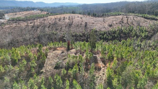 00 Big Sewee Lot 5, Decatur, TN 37322