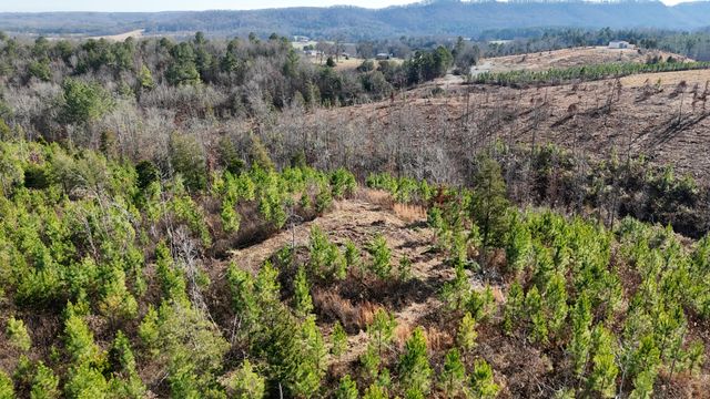 00 Big Sewee Lot 5, Decatur, TN 37322