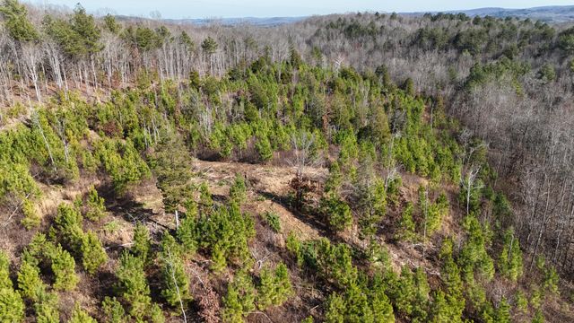 00 Big Sewee Lot 5, Decatur, TN 37322