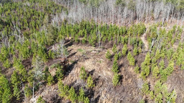 00 Big Sewee Lot 5, Decatur, TN 37322