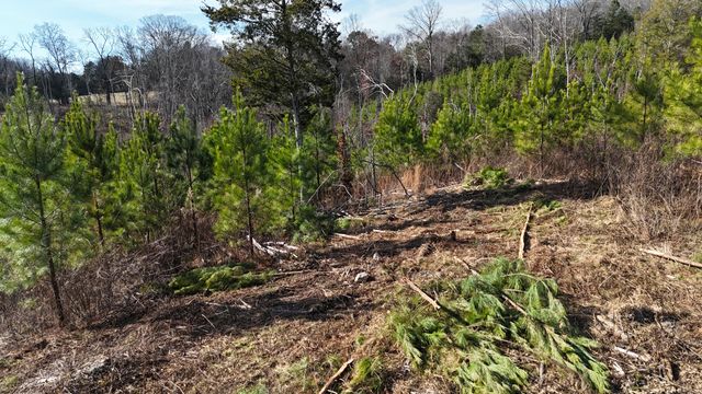 00 Big Sewee Lot 5, Decatur, TN 37322