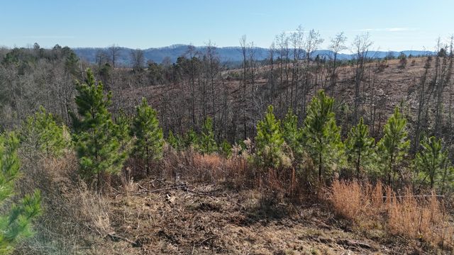 00 Big Sewee Lot 5, Decatur, TN 37322