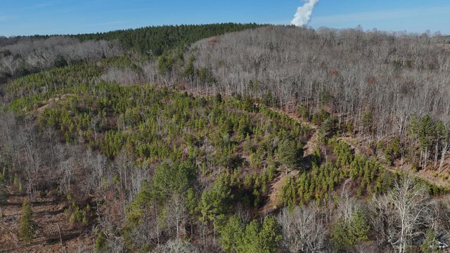 00 Big Sewee Lot 5, Decatur, TN 37322