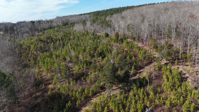 00 Big Sewee Lot 5, Decatur, TN 37322