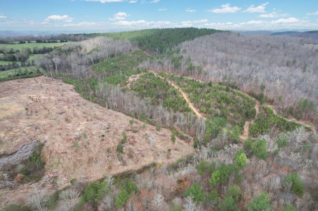 00 Big Sewee Lot 5, Decatur, TN 37322