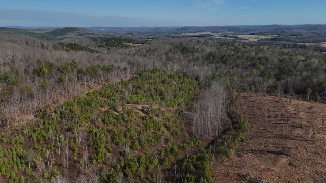 00 Big Sewee Lot 5, Decatur, TN 37322