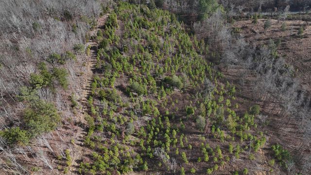 00 Big Sewee Lot 5, Decatur, TN 37322