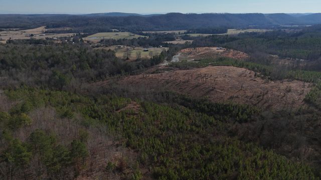 00 Big Sewee Lot 5, Decatur, TN 37322