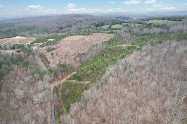 00 Big Sewee Lot 5, Decatur, TN 37322